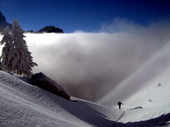#3 combe de Léchaud : La sortie de brume est toujours un grand moment! combe de Léchaud : La sortie de brume est toujours un grand moment!