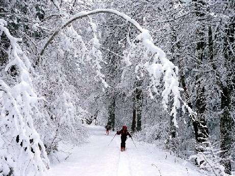 #1 branche-neige... : Belle ambiance dès le départ branche-neige... : Belle ambiance dès le départ