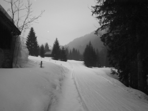 #3 La Pesse : D328 - 8h 30 ce matin La Pesse : D328 - 8h 30 ce matin