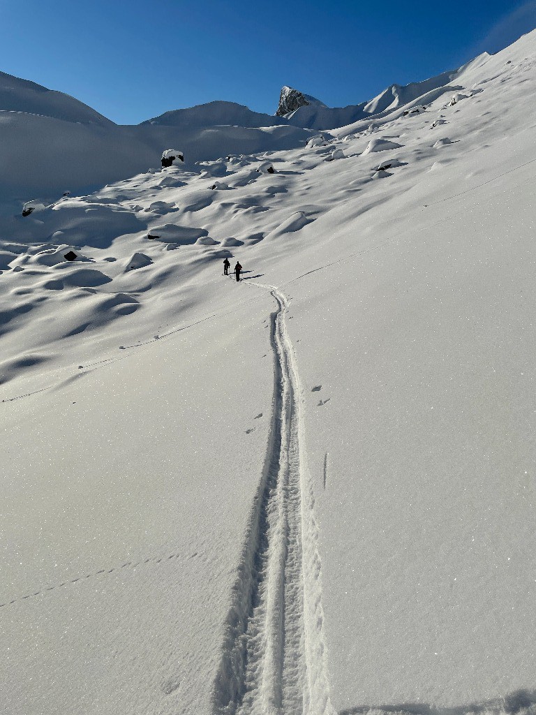 #5 Traversée Sauvage Traversée Sauvage