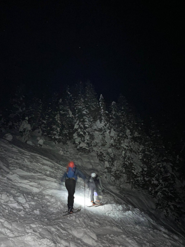 #1 Mur des Troncs Mur des Troncs