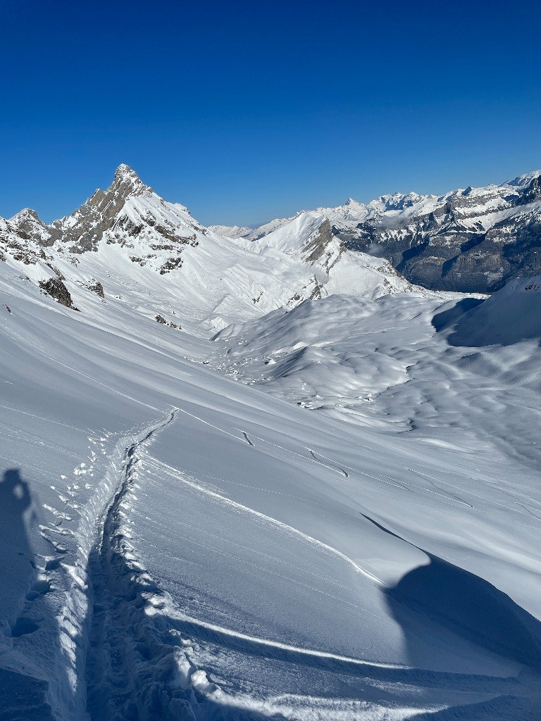 #15 Un dernier Z pour la route Un dernier Z pour la route
