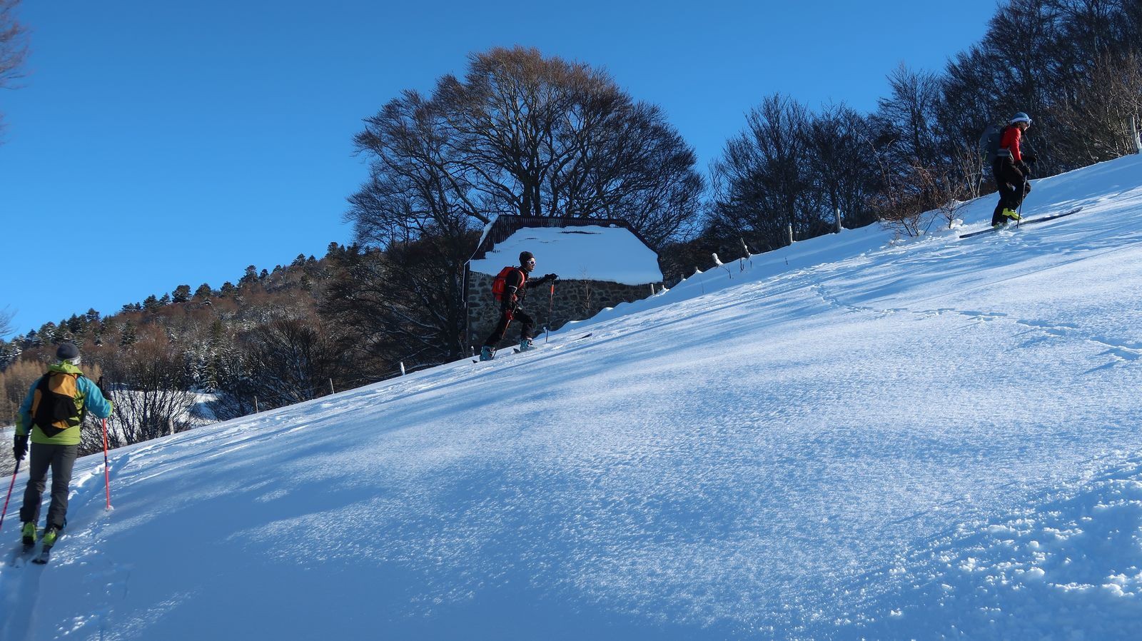 #8 Près de La Jarrige Près de La Jarrige
