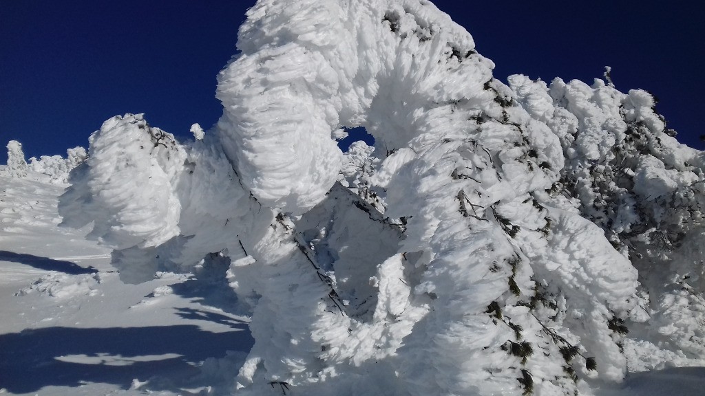 #5 concours auvergnat de sculpture sur neige (1er prix) concours auvergnat de sculpture sur neige (1er prix)