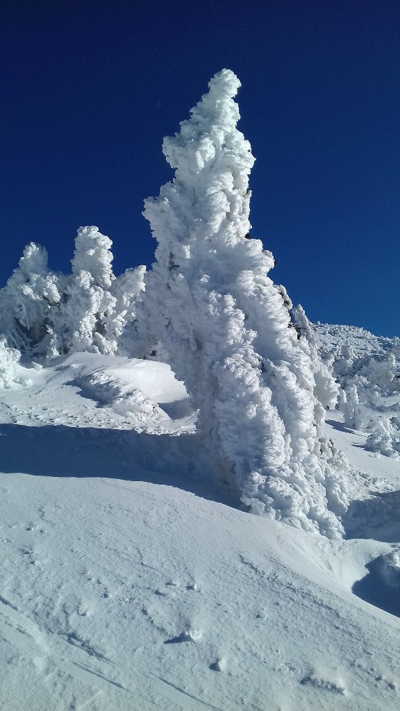 #4 2ème prix 2ème prix