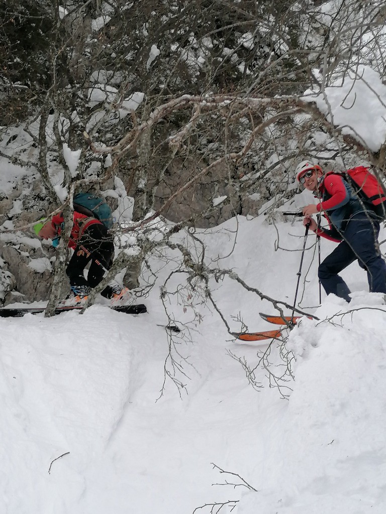 #3 Traçage forestier vers les Charmilles Traçage forestier vers les Charmilles