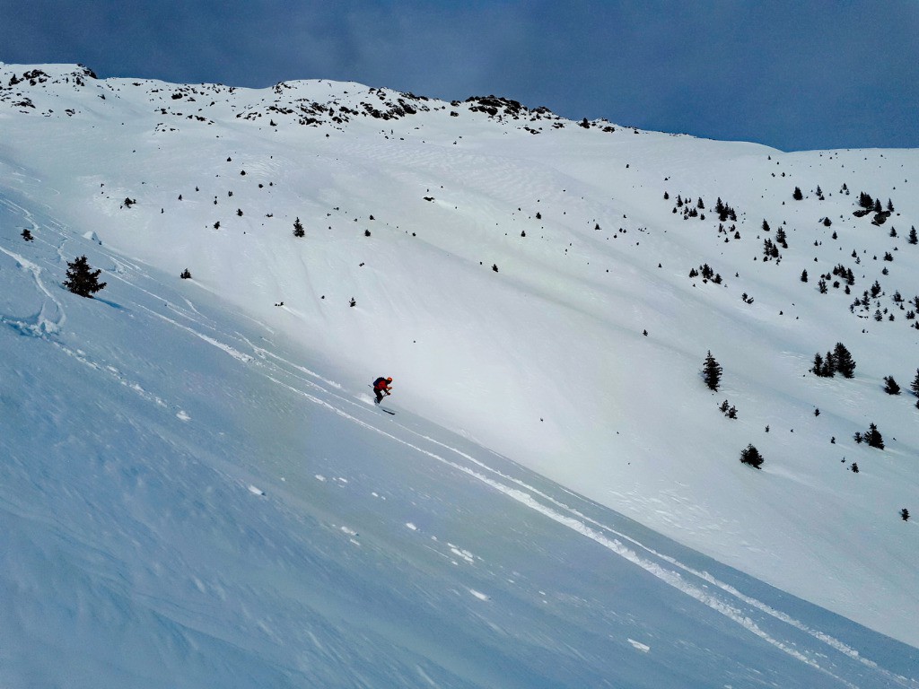 #8 Halo Yougs ? Halo Yougs ?