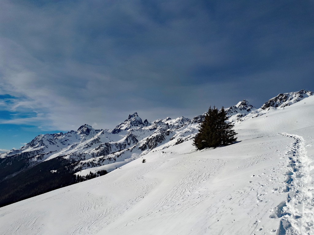 #4 Dans les champs de coton… Dans les champs de coton…