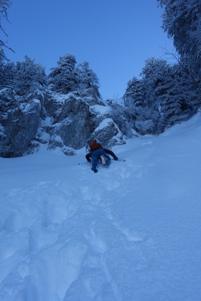 #5 Je brasse et pourtant j Je brasse et pourtant j'avais tout prévu !
