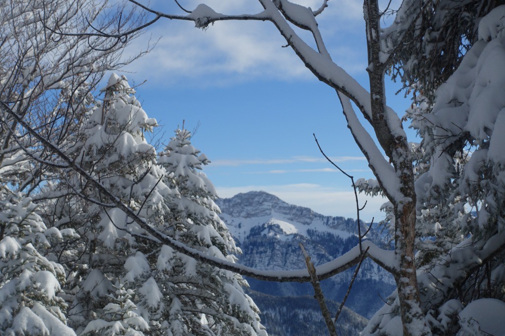 #6 Grand Som Grand Som