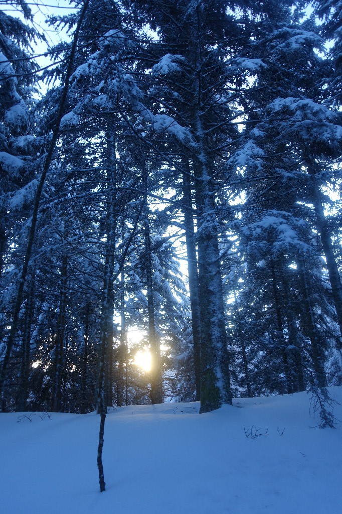 #2 Lever de soleil Lever de soleil