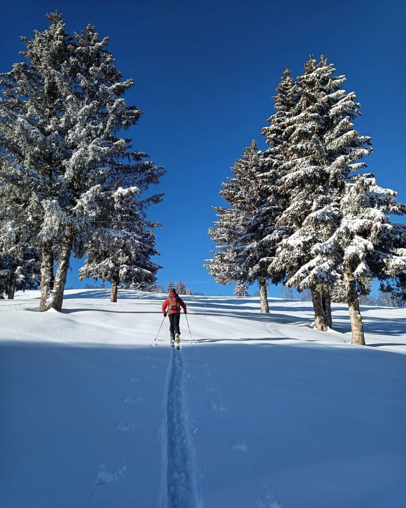 #2 Dans la station Dans la station