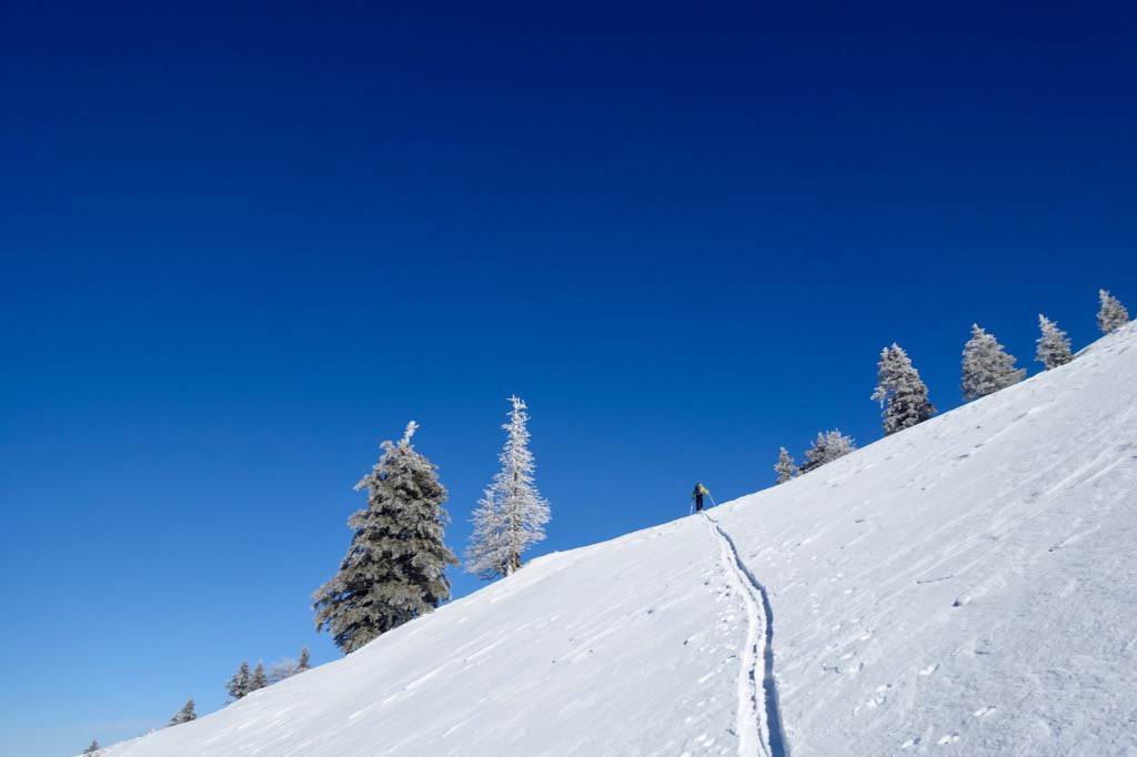 #7 bientôt sur la crête de Chamechine bientôt sur la crête de Chamechine