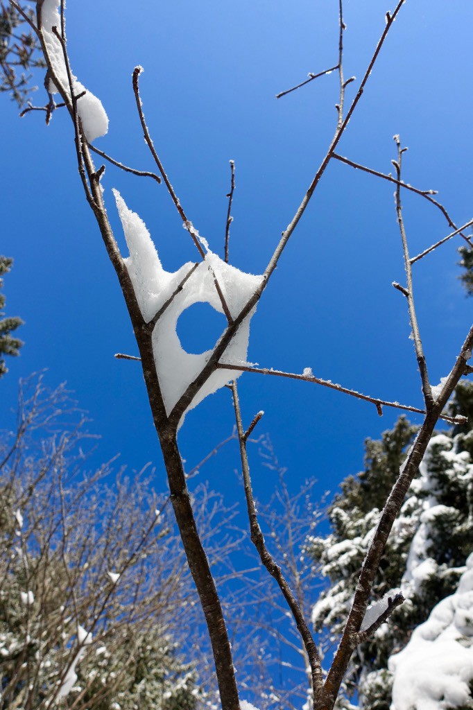 #1 un peu de poésie un peu de poésie