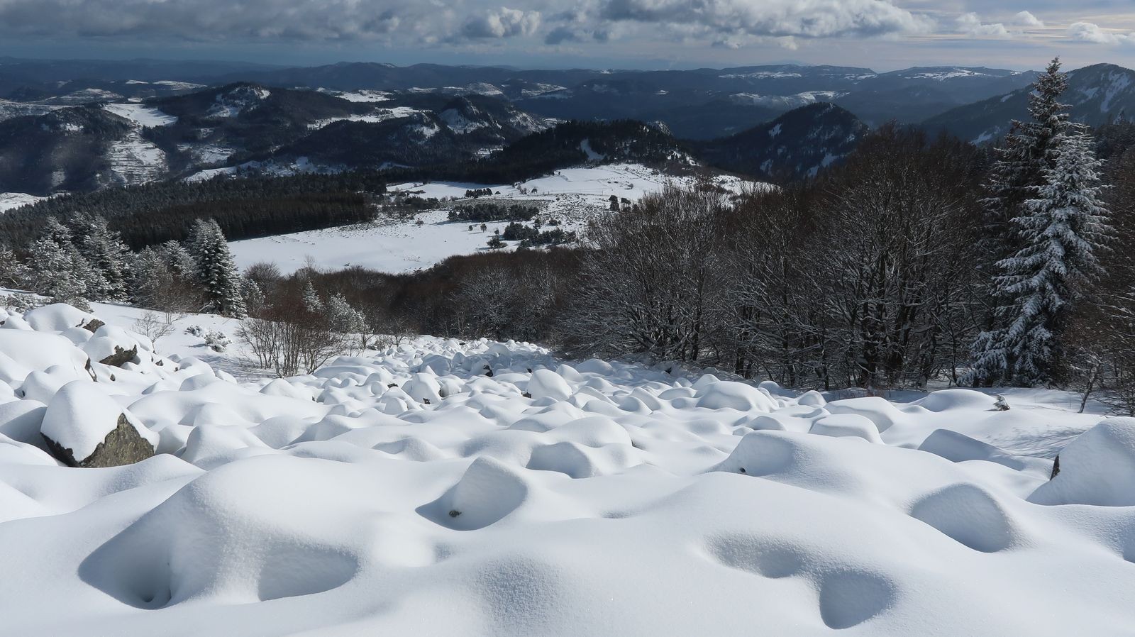 #8 Champ de chapeaux Champ de chapeaux