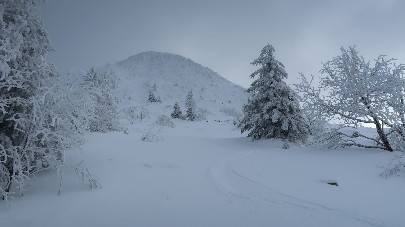 #16 La facette nord soyeuse La facette nord soyeuse