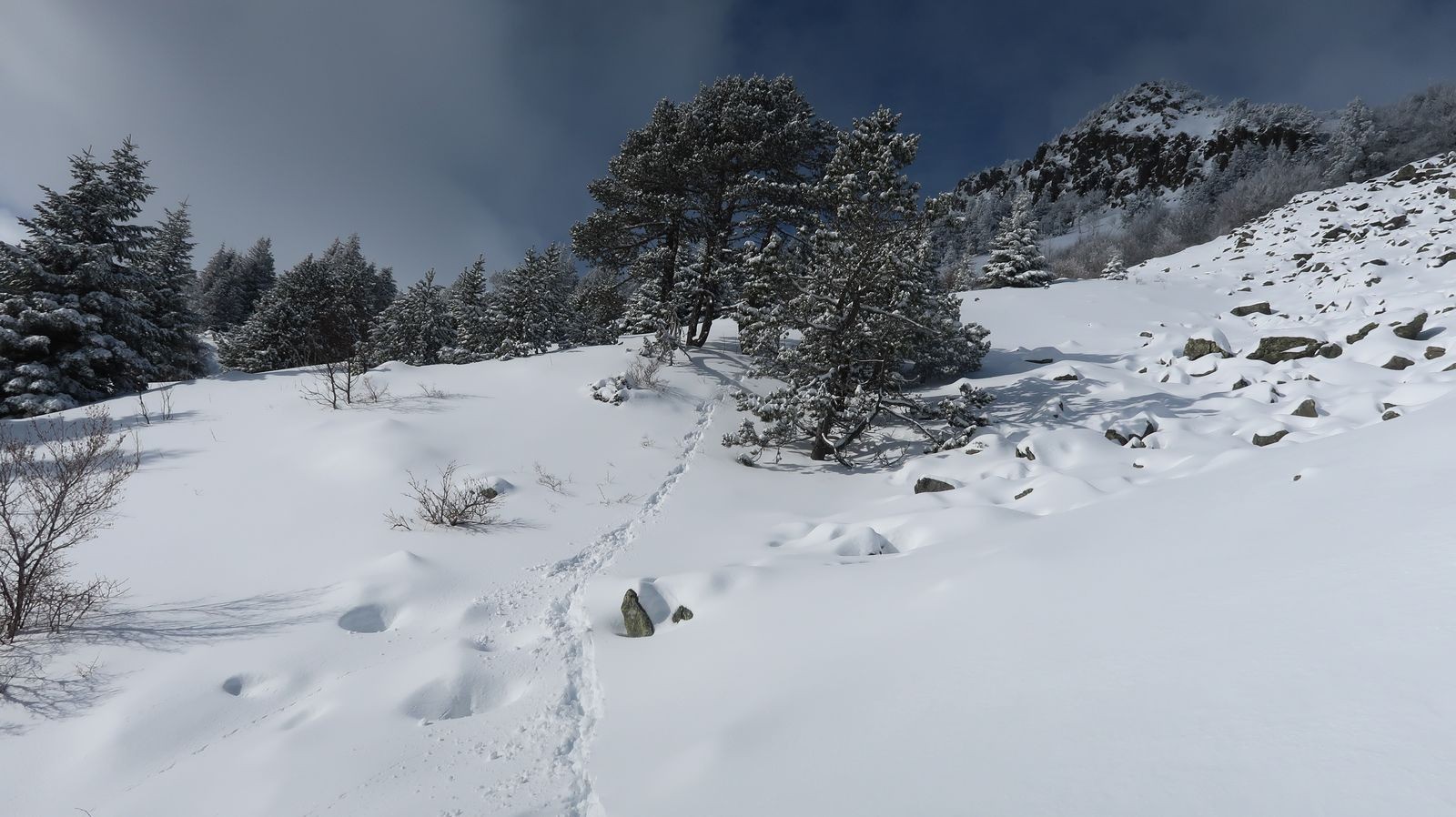 #11 Quelles sont ces traces? Quelles sont ces traces?