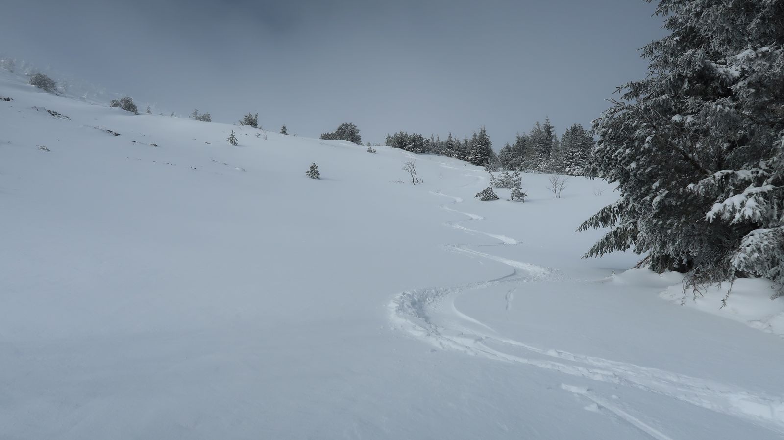 #2 Versant Est Versant Est