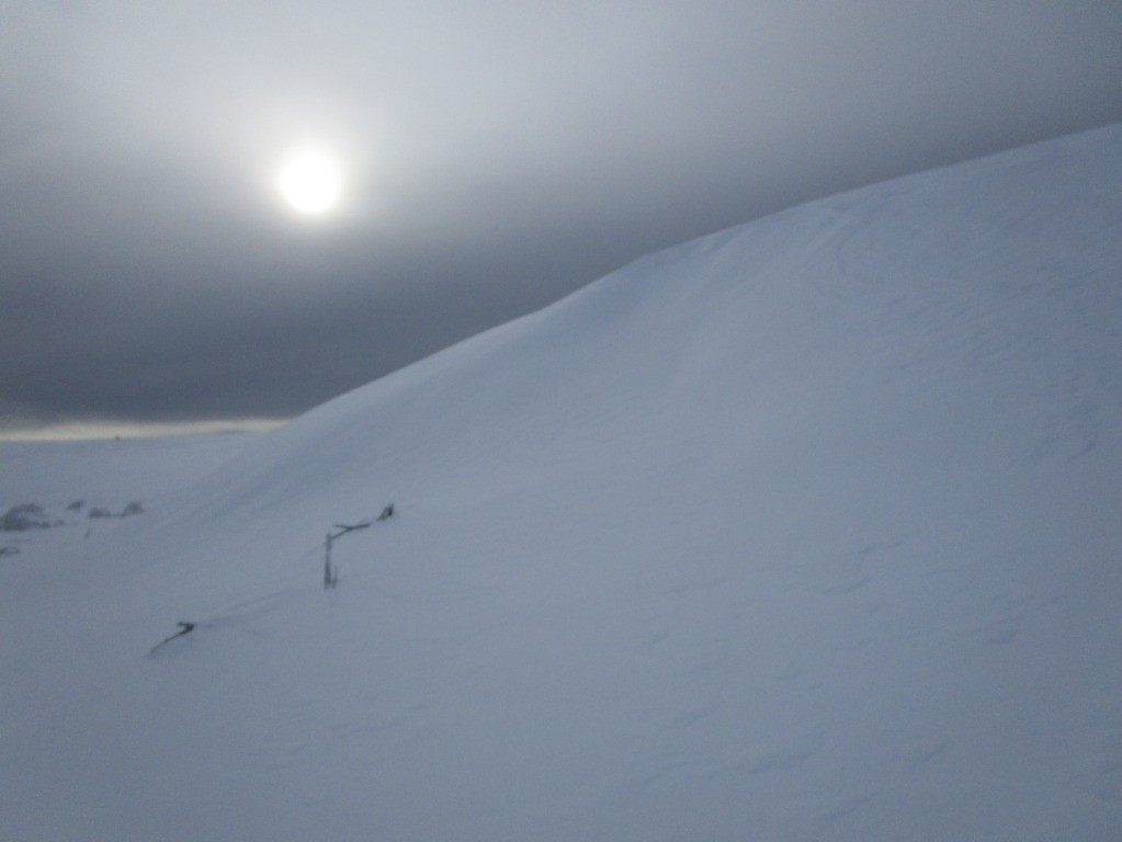 #7 La pertube arrive!
La pertube arrive!