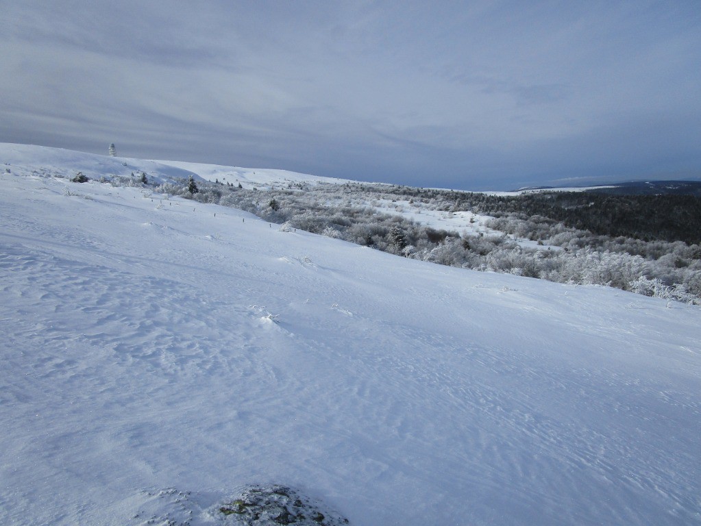 #6 repérage, tjs trop d repérage, tjs trop d'arbustes à mon goût...