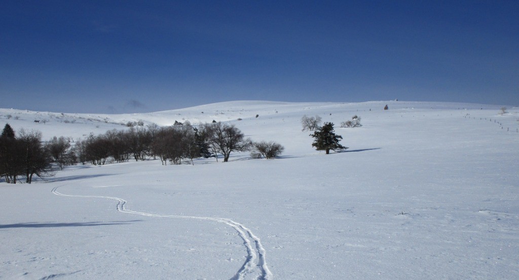 #4 Colleigne 1400m manque un peu de pente en arrivant...
Colleigne 1400m manque un peu de pente en arrivant...