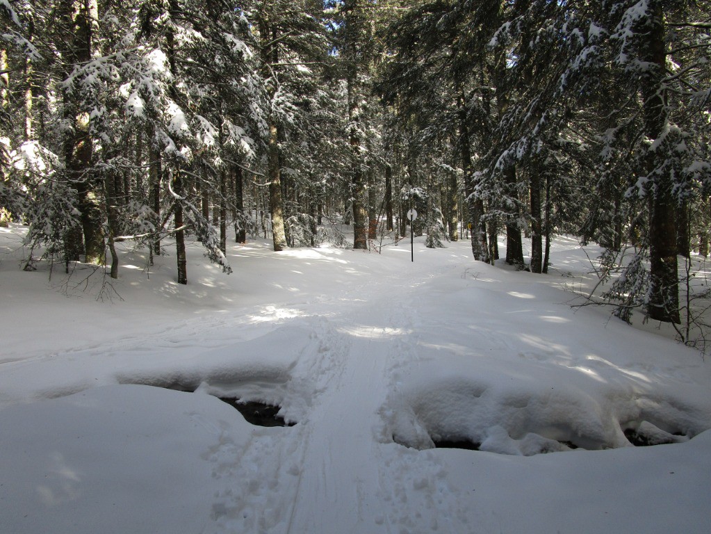 #1 Pont dans les bois 1350m
Pont dans les bois 1350m