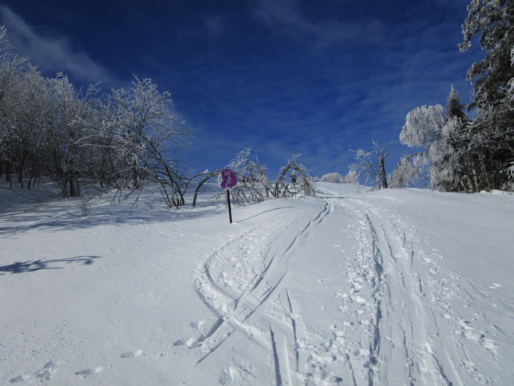 #2 Le Jalon indique au moins l Le Jalon indique au moins l'épaisseur de neige
