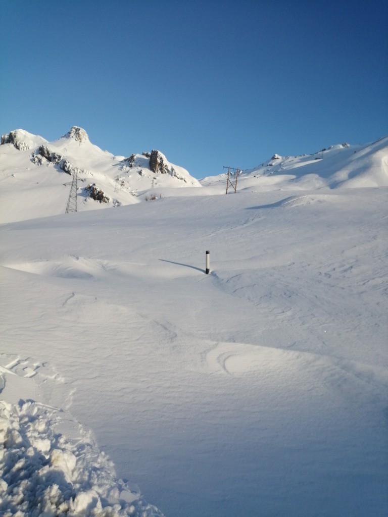 Tout blanc au départ.