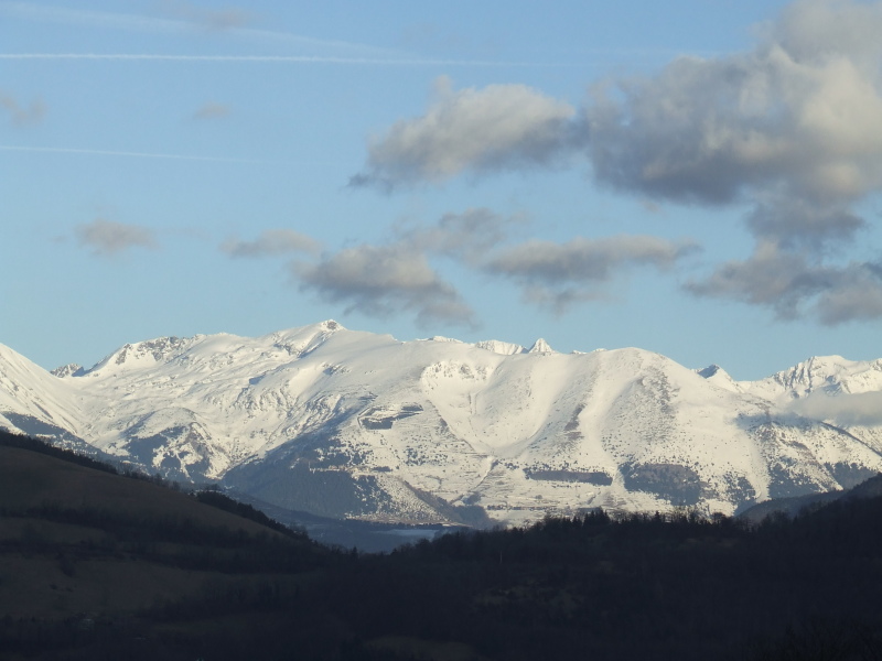 piquet de Nantes au tabor