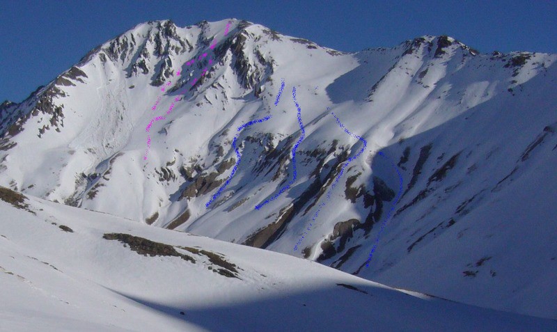 Aiguille de l'argentière.
Rose: Descente directe du sommet (4.1)
Bleu: variantes de descente (3.3)