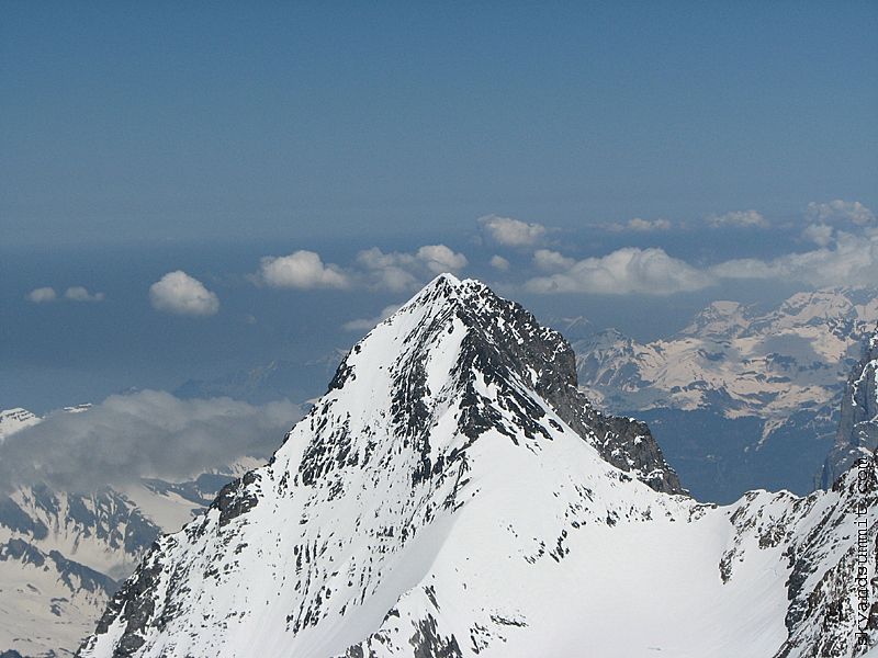 Face W de l'Eiger depuis la Jungfrau
Photo skyandsummit.com