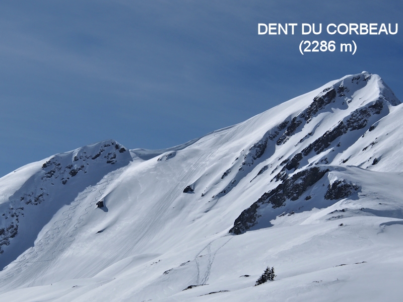 Dent du Corbeau versant Nord-Est