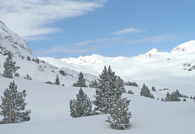 Vallée du Campcardos.