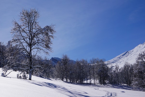 Vallon de l'Arclusaz et le col au fond