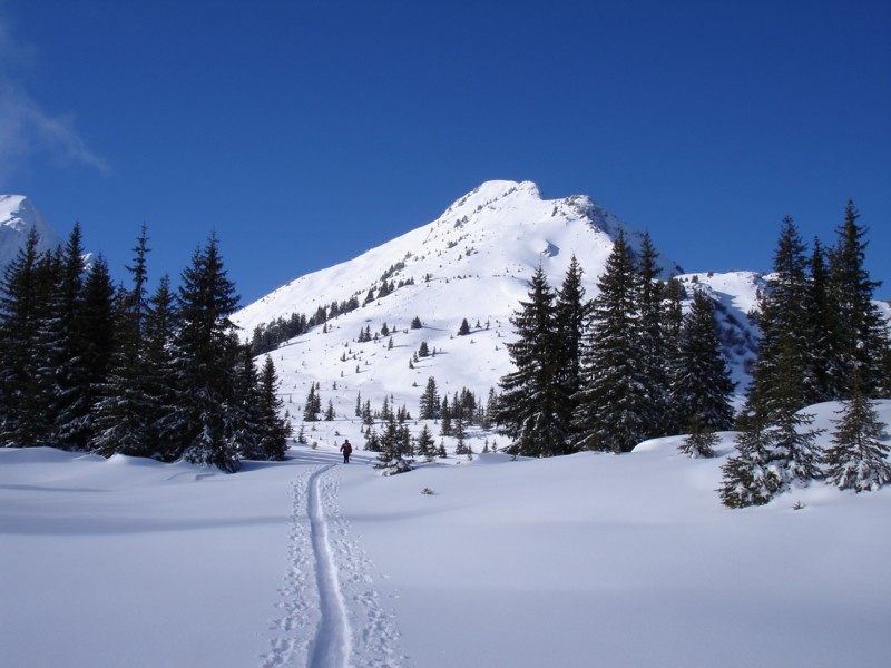 La face sud est de Roche plane.