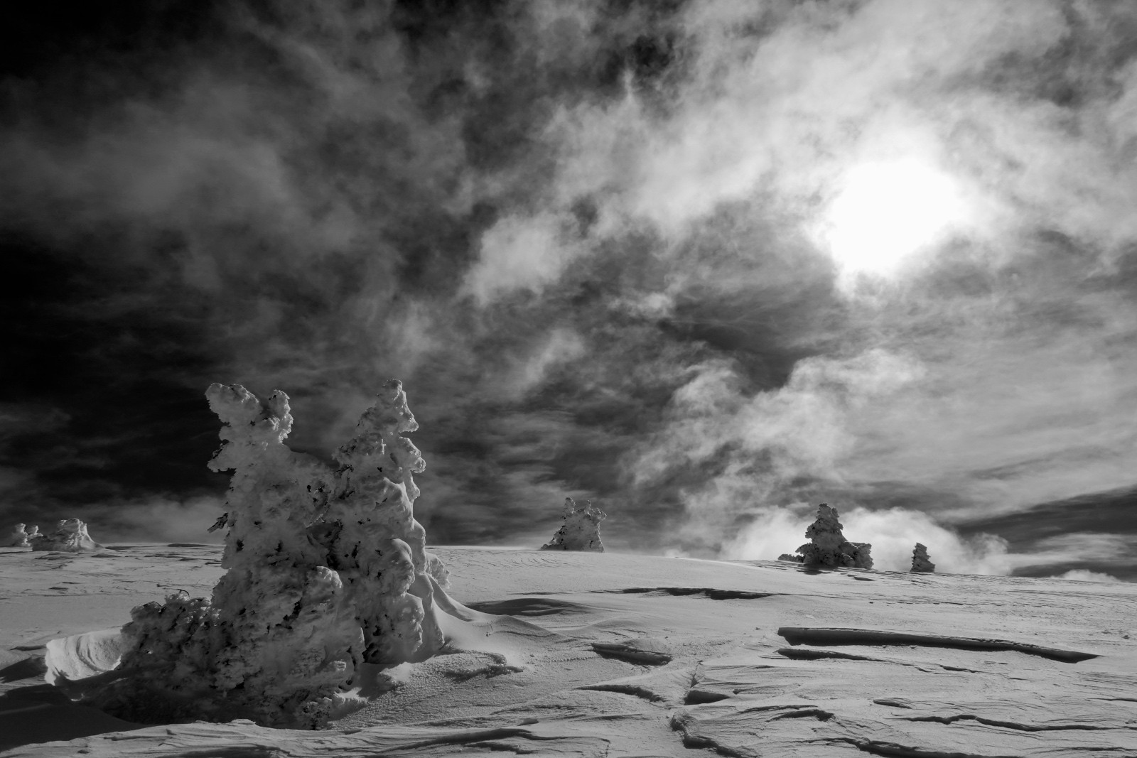 Pas-chassons au Pas des Bachassons (y Petit Veymont)