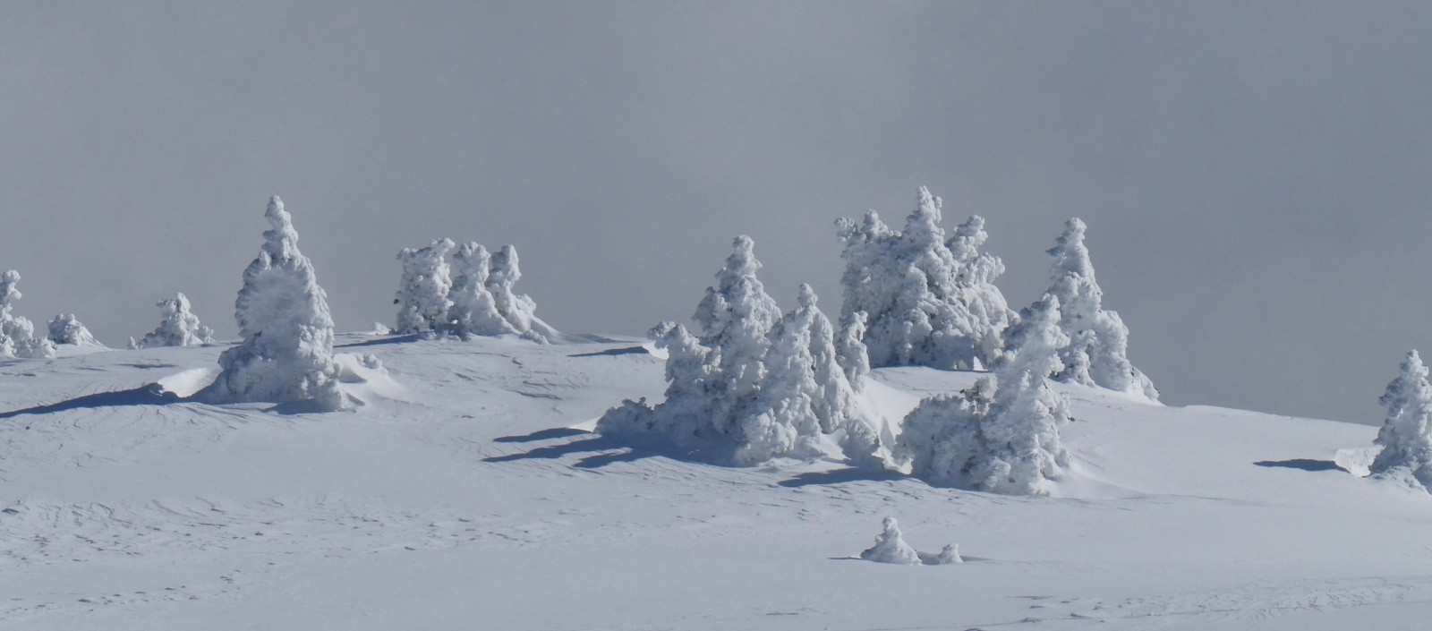 Pas-chassons au Pas des Bachassons (y Petit Veymont) - photo runcec