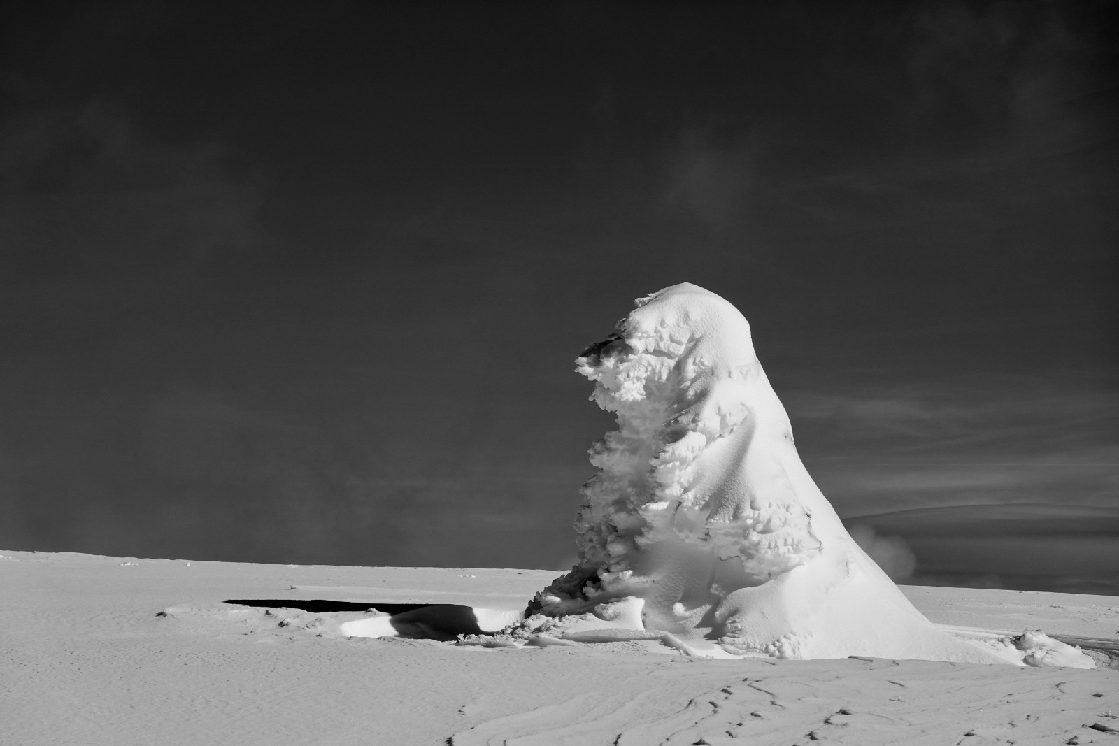 Pas-chassons au Pas des Bachassons (y Petit Veymont) - il monte la garde...