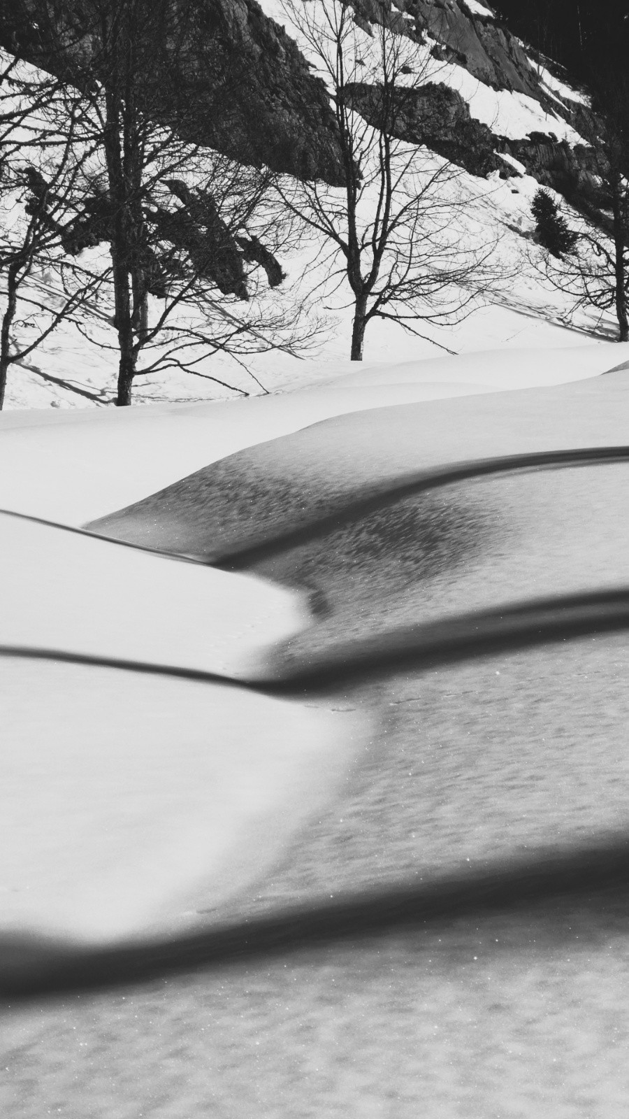 La Divine Comédie au Grand Manti