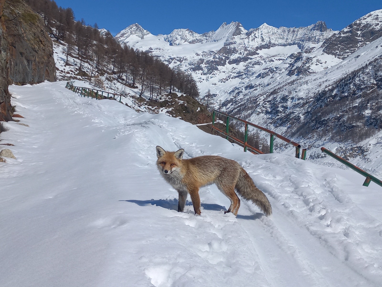 Un WE en Valpelline : Château des Dames NW, et un Cappuccino à Nacamulli