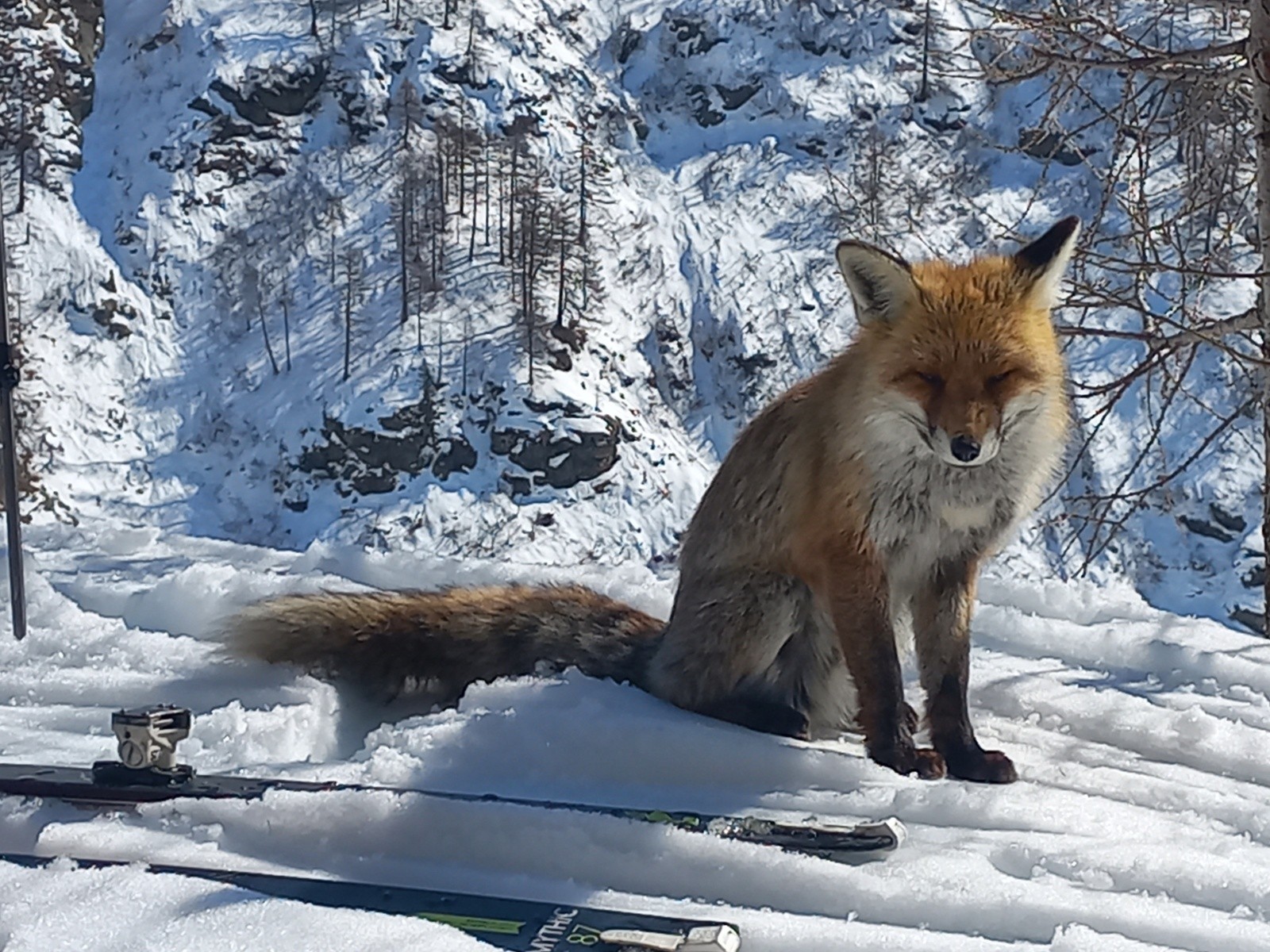 Un WE en Valpelline : Château des Dames NW, et un Cappuccino à Nacamulli