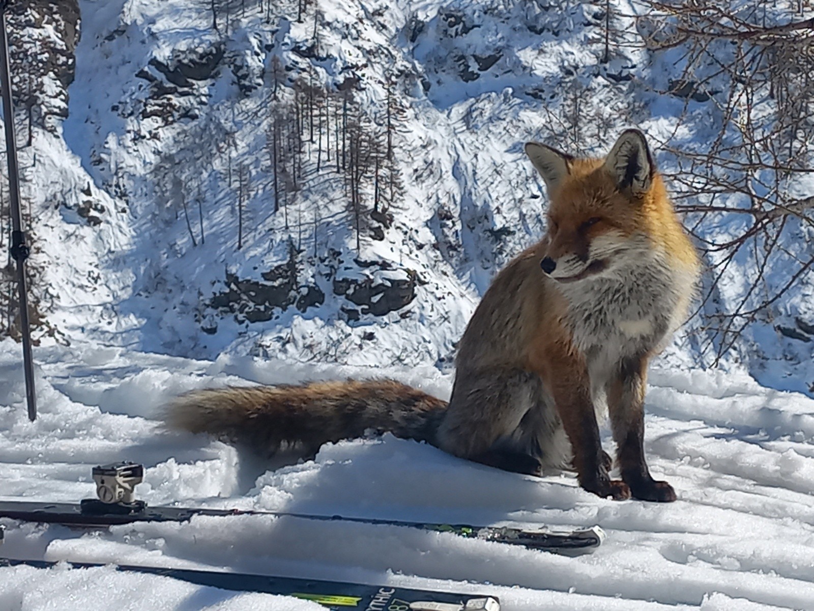 Un WE en Valpelline : Château des Dames NW, et un Cappuccino à Nacamulli