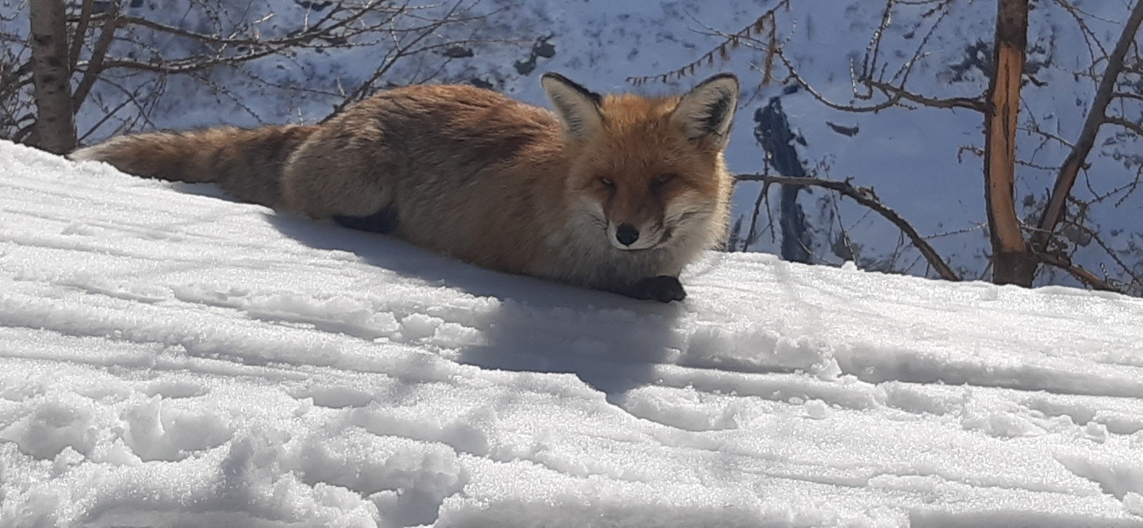 Un WE en Valpelline : Château des Dames NW, et un Cappuccino à Nacamulli