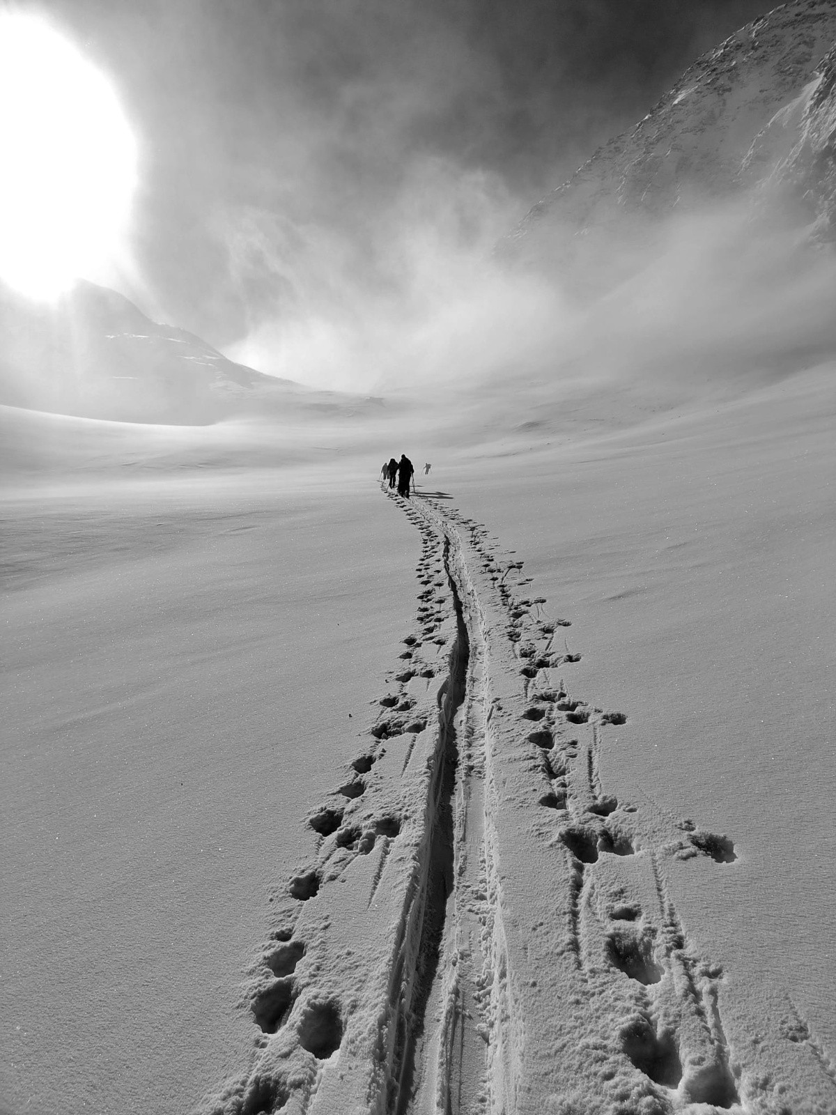 Grand Bec au-dessus des nuages🌞 