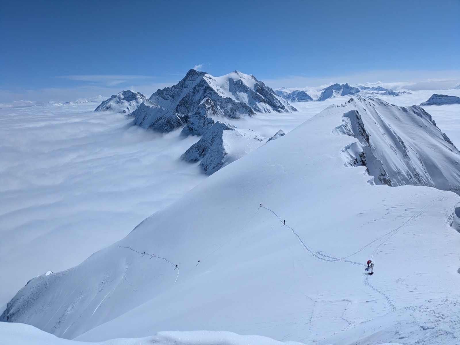 Grand Bec au-dessus des nuages 