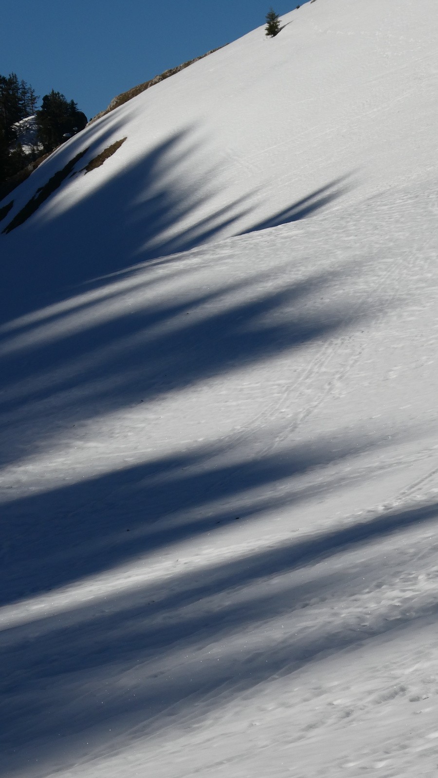 Le Petit Som du matin est le plus clair - quelques ombres effilées 