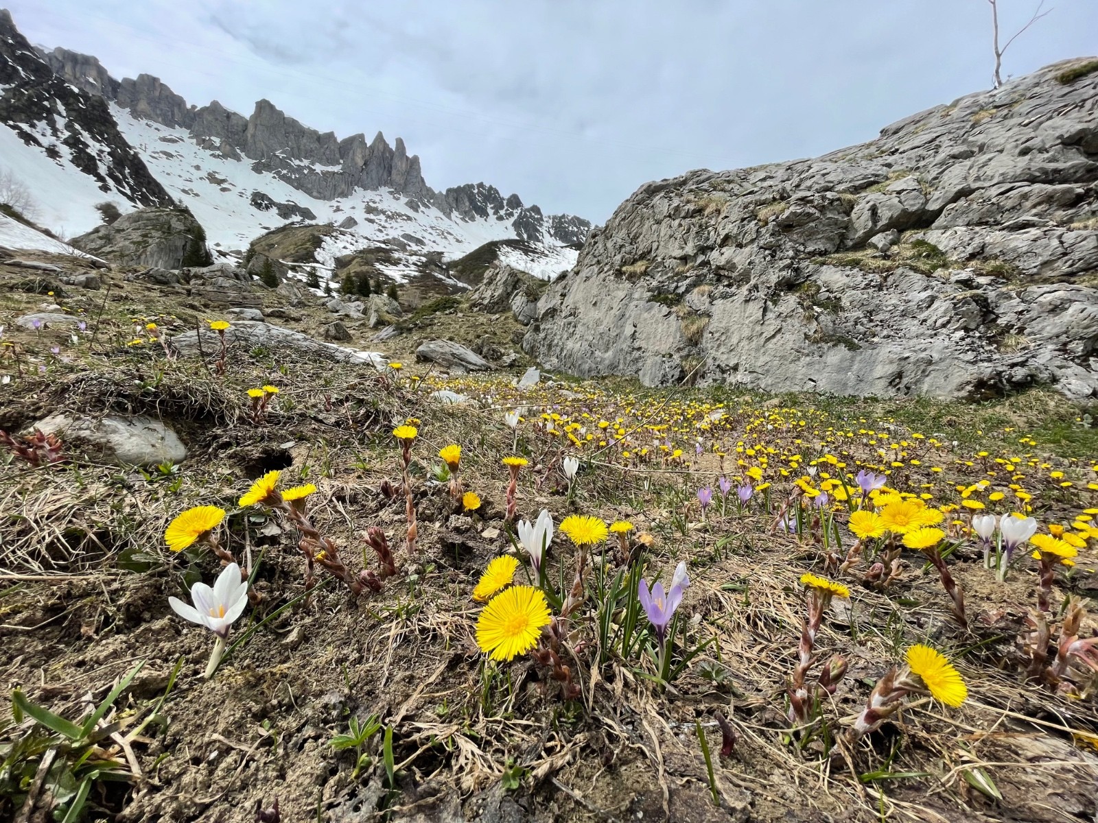 Yaniro au Col de la Cicle (et des Chasseurs)