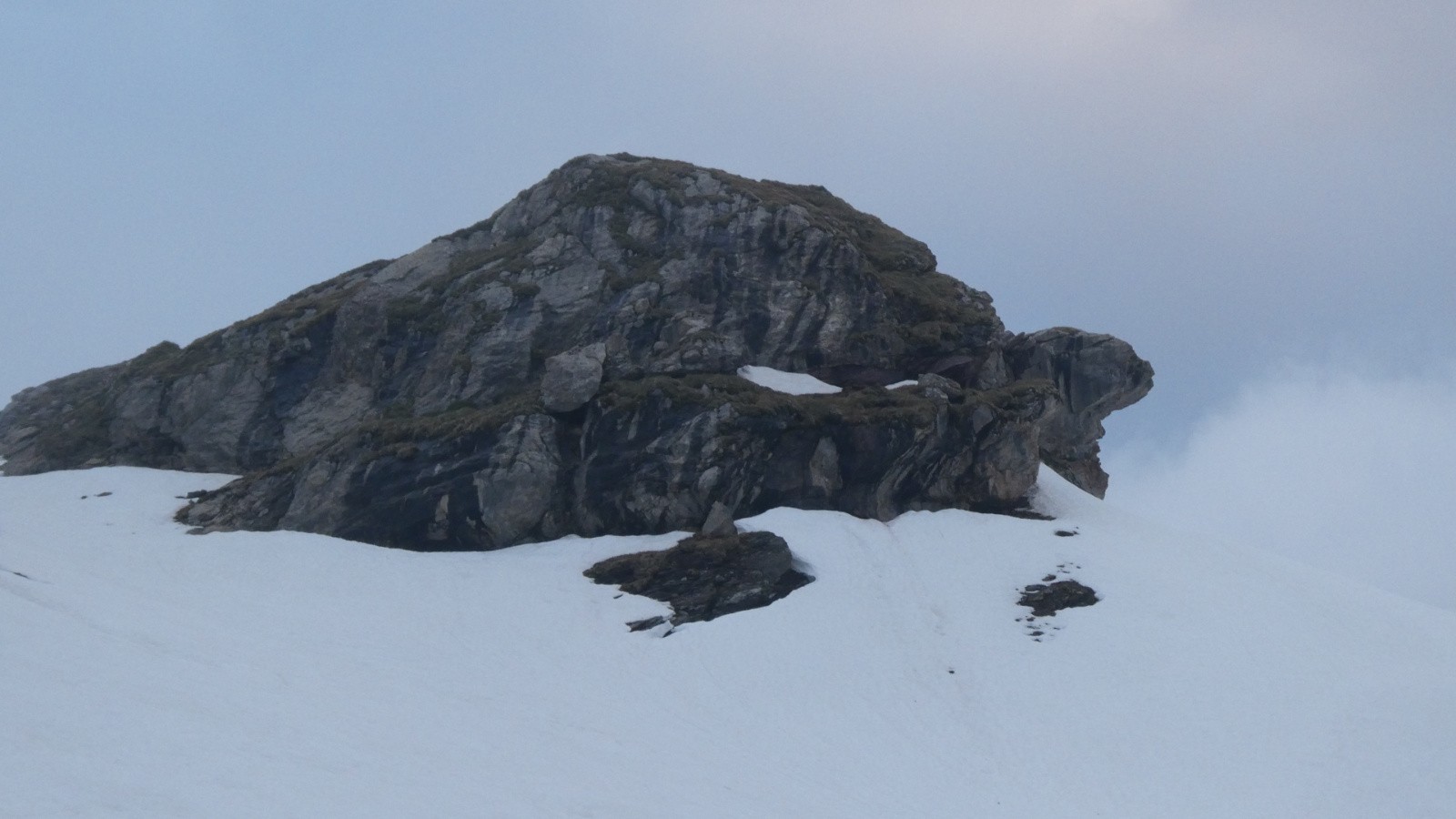 Cinq « dames de pic », une tortue et un Pic Blanc du Galibier - j2 - la tortue (dédicace à Chapp)