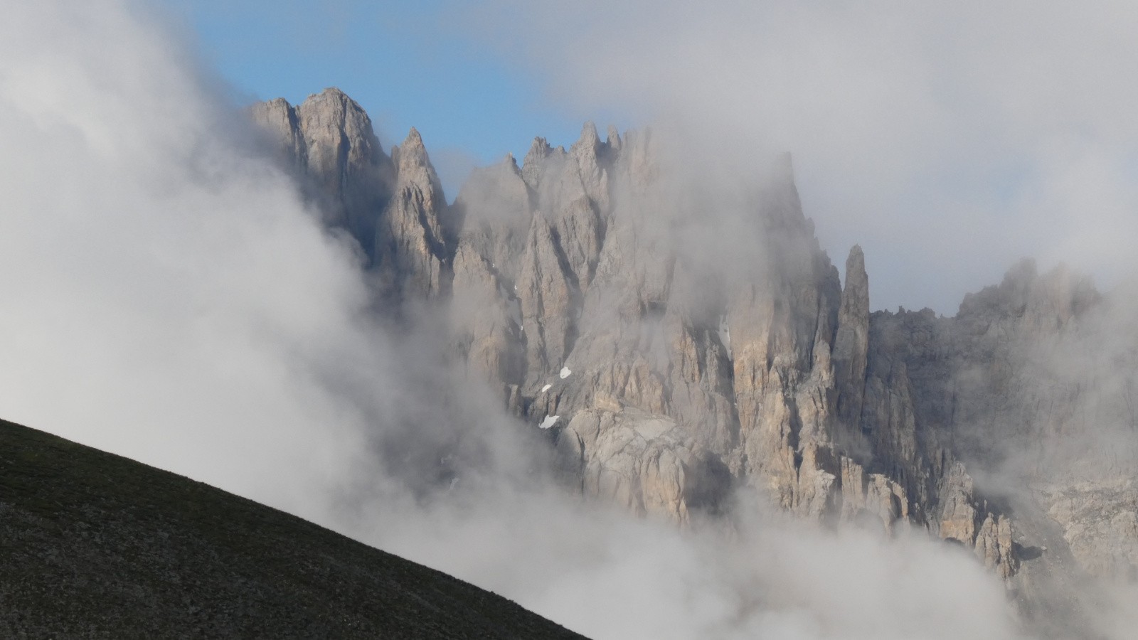 Cinq « dames de pic », une tortue et un Pic Blanc du Galibier - j1 - les Ptes d'Orient (je pense)
