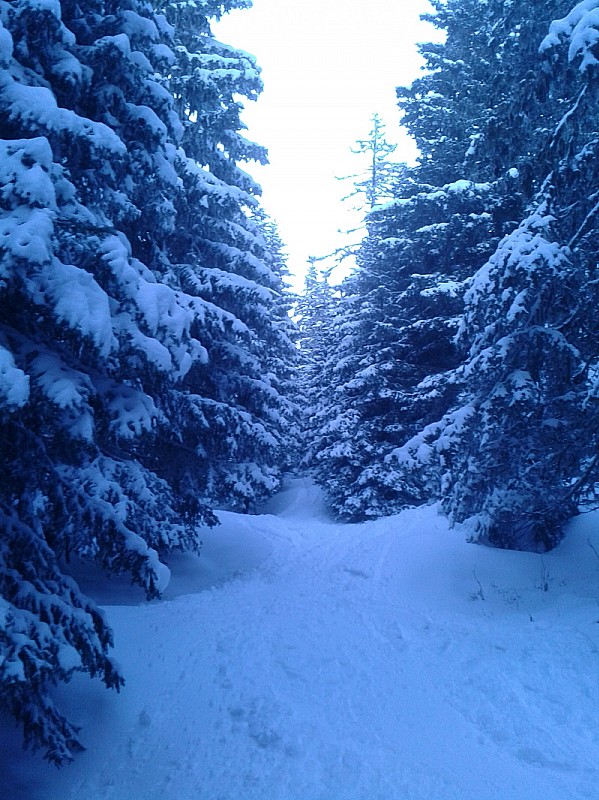 #3 Ambiance hivernale : vers 6h30 ce matin. Ambiance hivernale : vers 6h30 ce matin.
